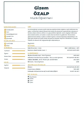 Müzik Öğretmeni Cv Örnekleri cv indir